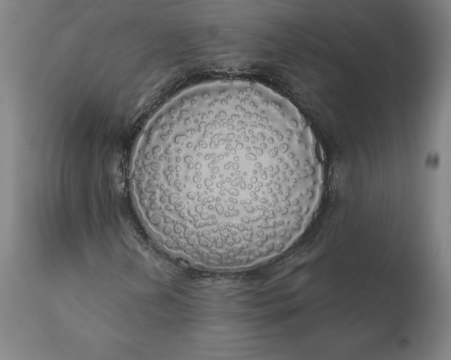 X0000110701202200907021949