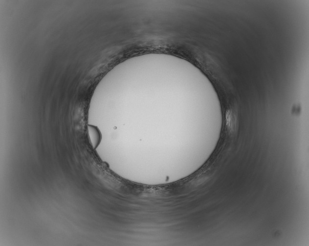 X0000110701203200907021949