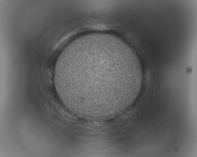 X0000110701205200907021949