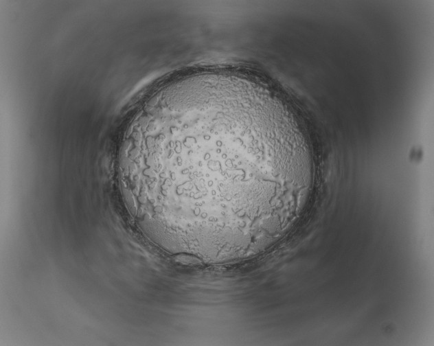 X0000110701206200907021949