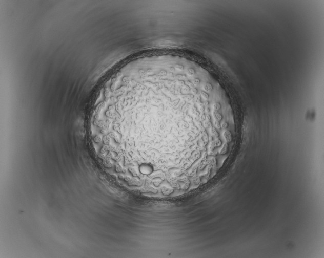 X0000110701209200907021950