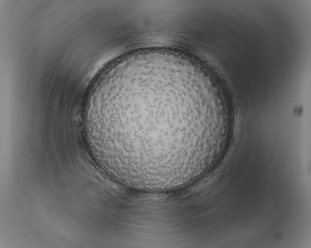 X0000110701210200907021950