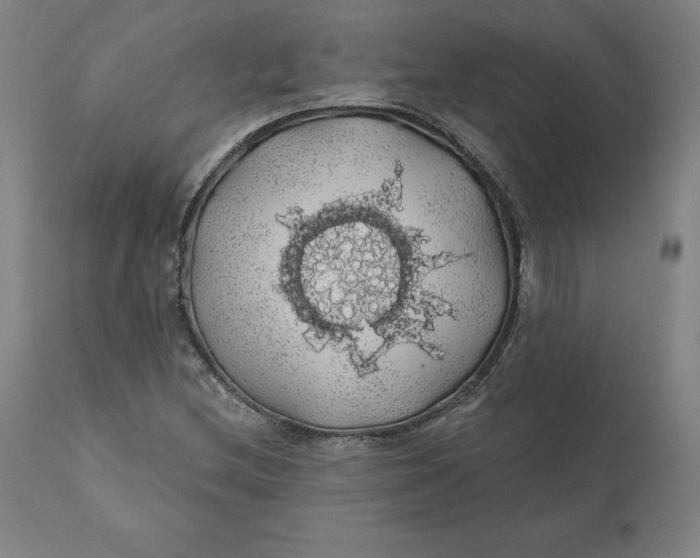 X0000110701212200907021950