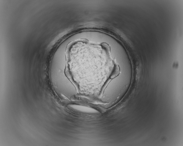 X0000110701213200907021950