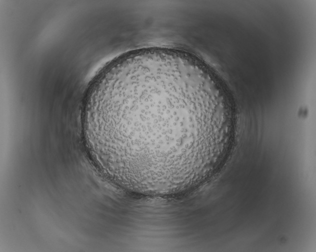 X0000110701214200907021950