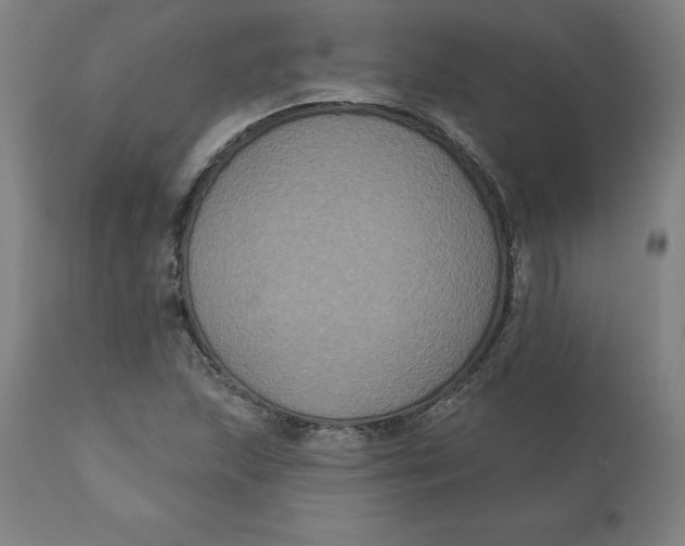 X0000110701215200907021950