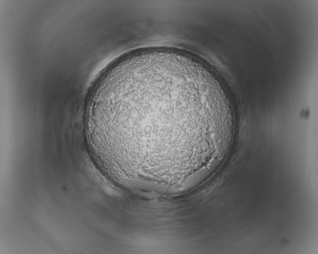 X0000110701216200907021950