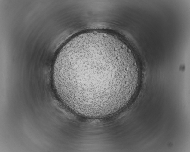 X0000110701217200907021950