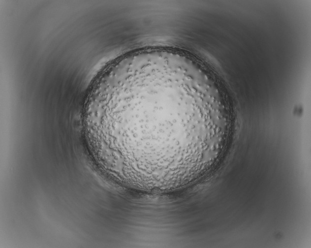 X0000110701218200907021950