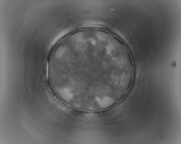 X0000110701219200907021950