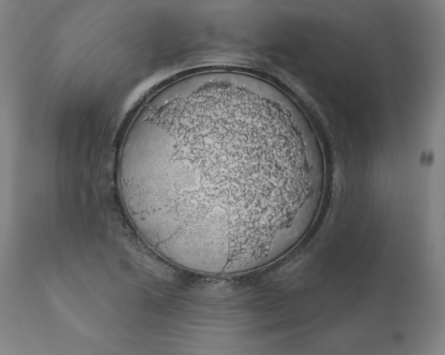 X0000110701222200907021950