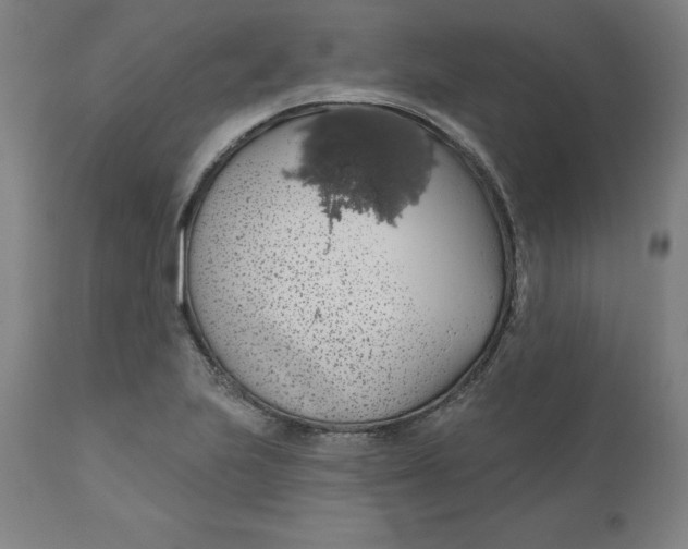 X0000110701223200907021950