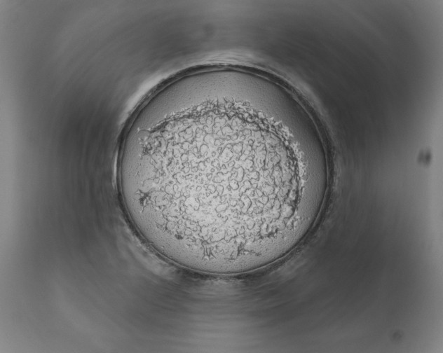 X0000110701224200907021950