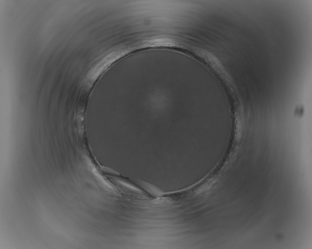 X0000110701225200907021950