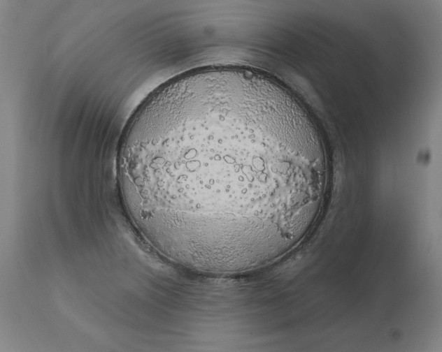 X0000110701226200907021950