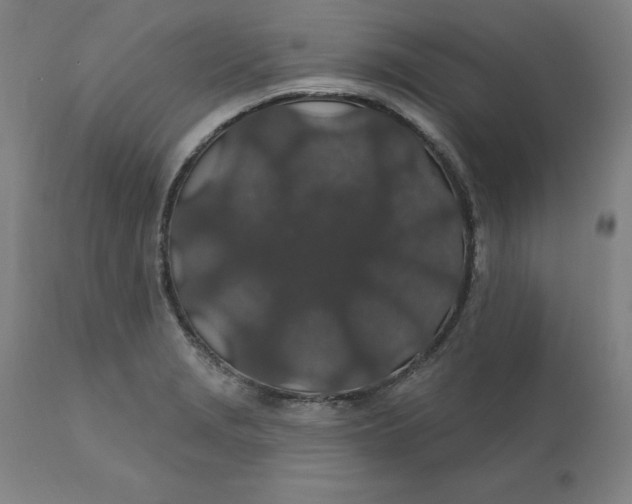 X0000110701229200907021950