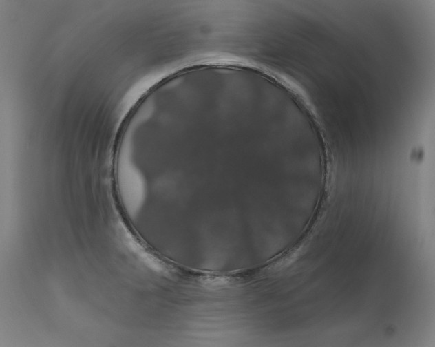 X0000110701231200907021950