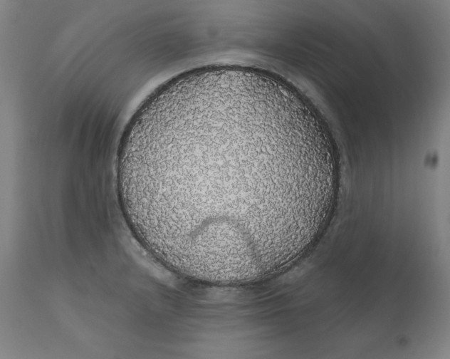 X0000110701232200907021950