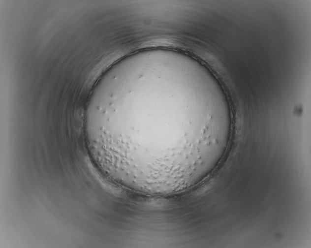 X0000110701233200907021950