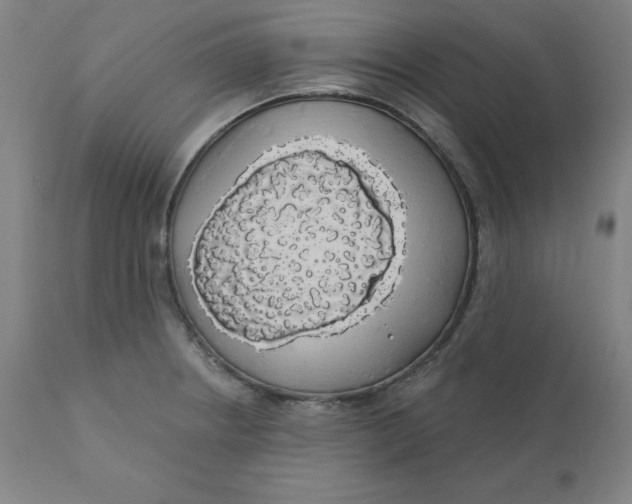 X0000110701234200907021950