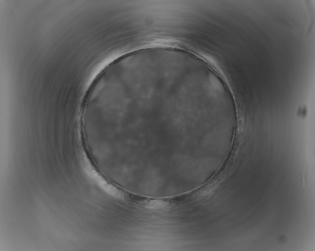 X0000110701235200907021950