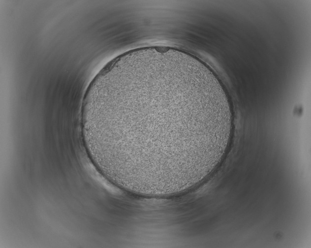 X0000110701236200907021950