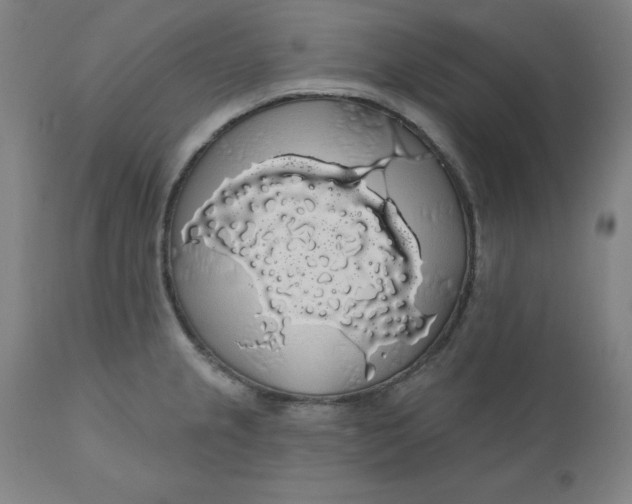 X0000110701237200907021950