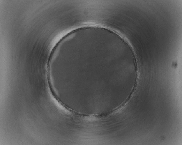 X0000110701239200907021950