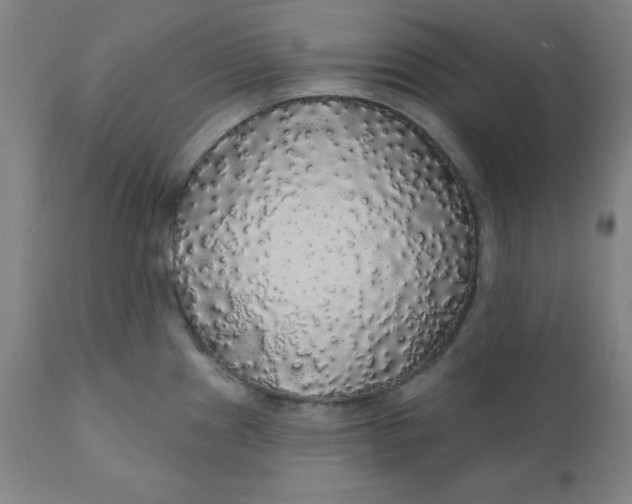 X0000110701241200907021950