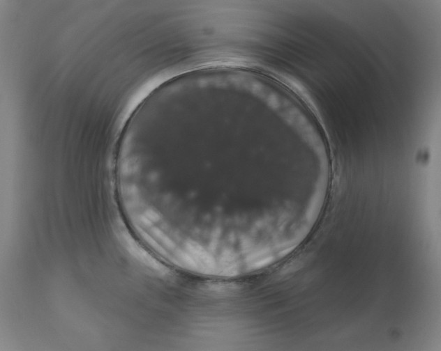 X0000110701243200907021950