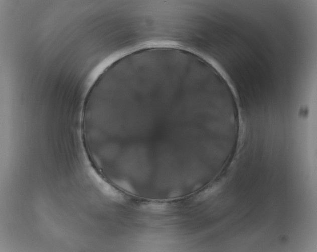 X0000110701245200907021950