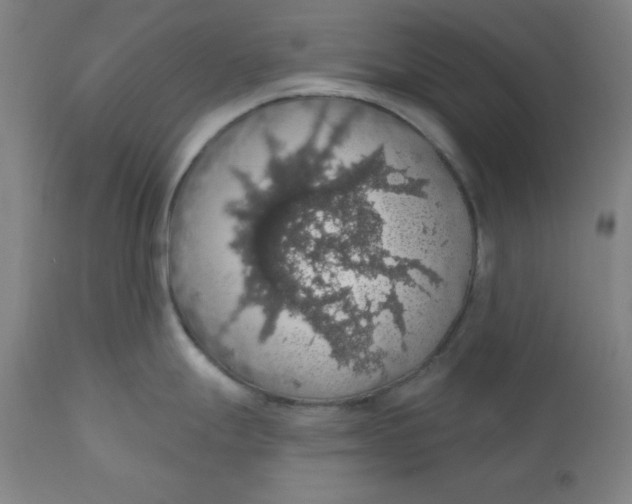 X0000110701247200907021950