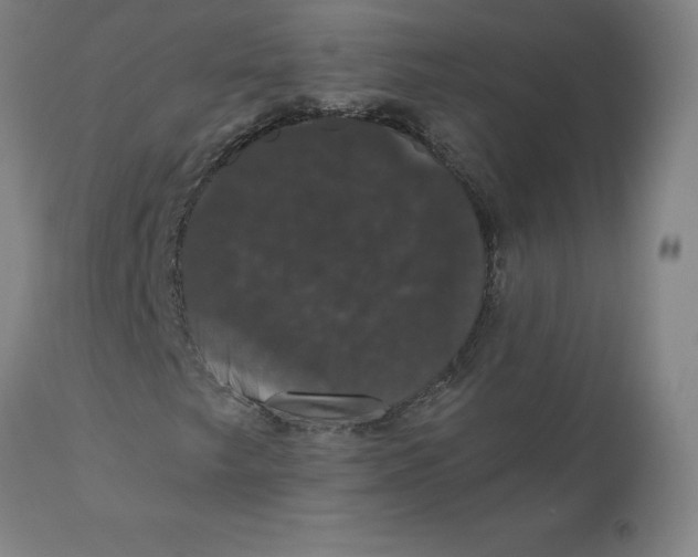 X0000110701249200907021949