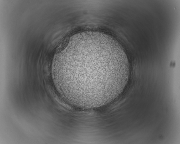 X0000110701250200907021949