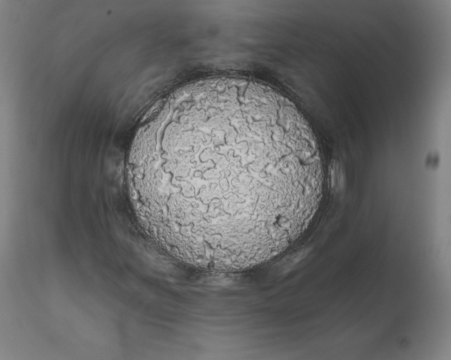 X0000110701251200907021949