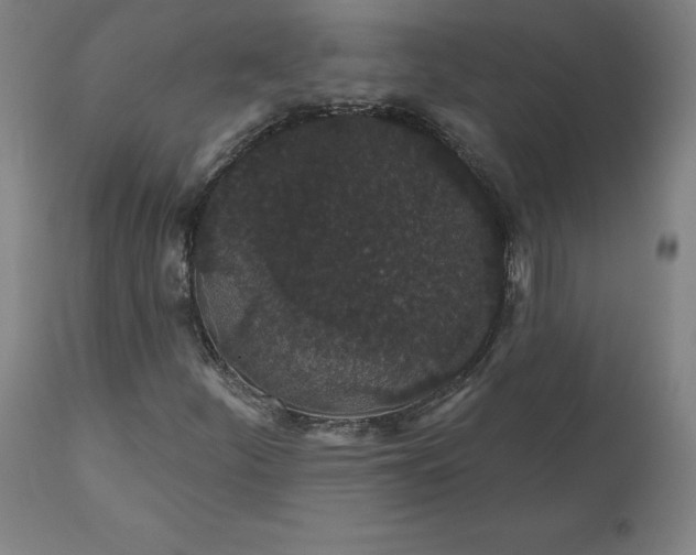 X0000110701252200907021949