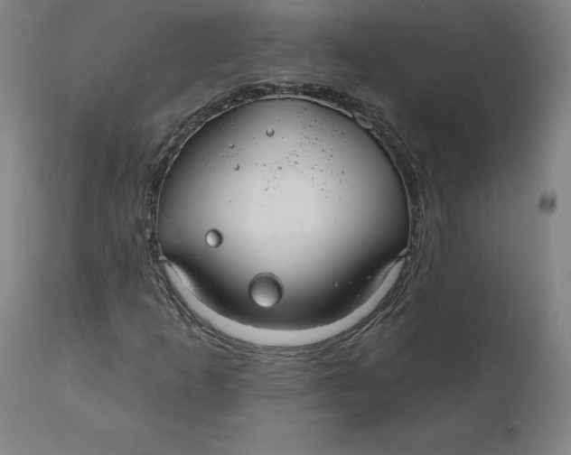 X0000110701253200907021949