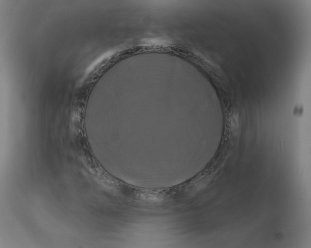 X0000110701254200907021949