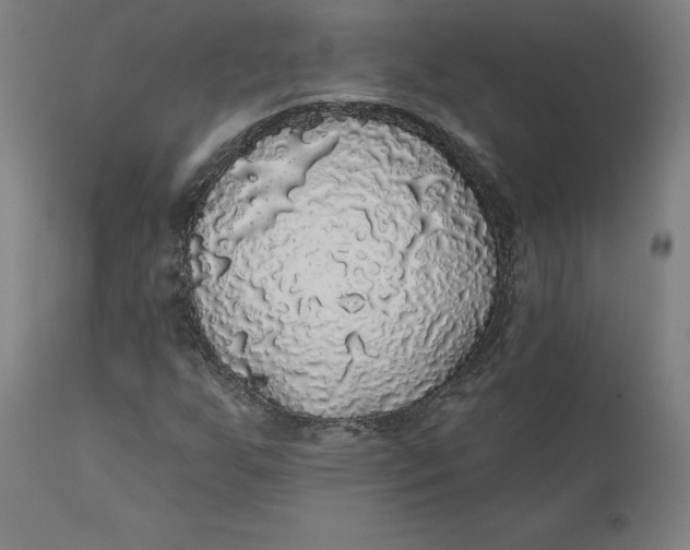 X0000110701255200907021949