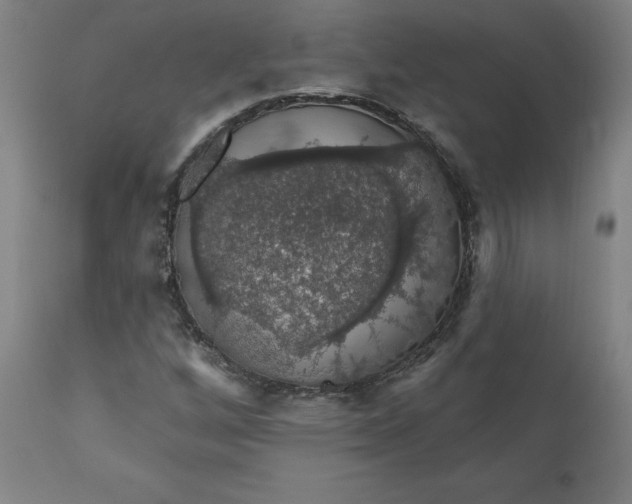 X0000110701256200907021949