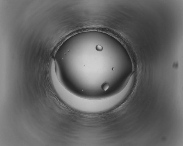 X0000110701257200907021949