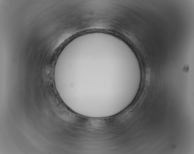 X0000110701258200907021949