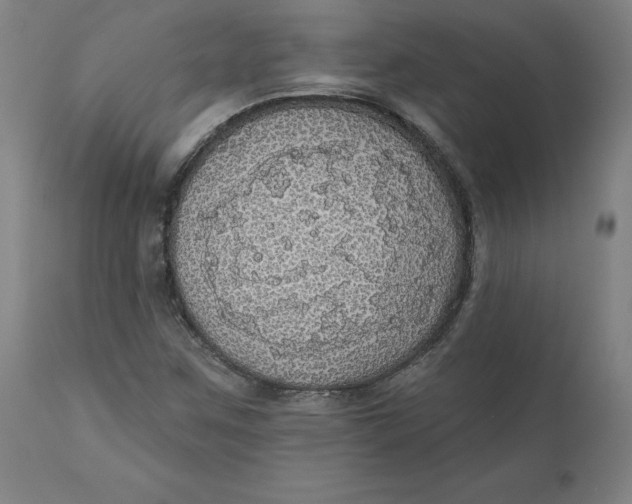 X0000110701259200907021949