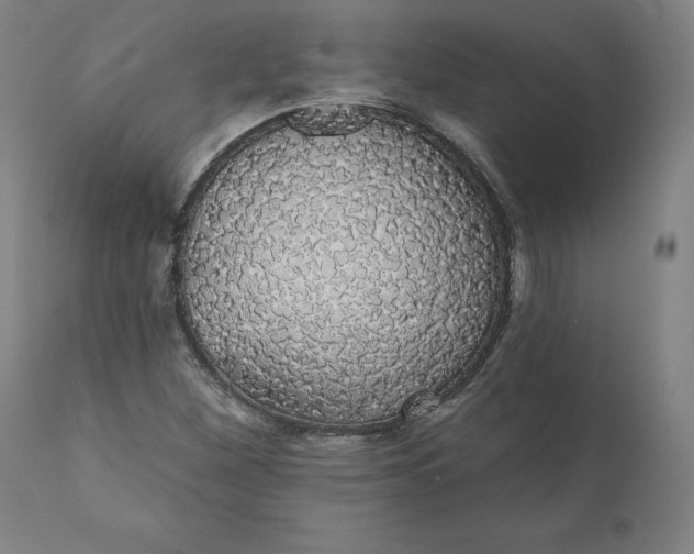 X0000110701260200907021949