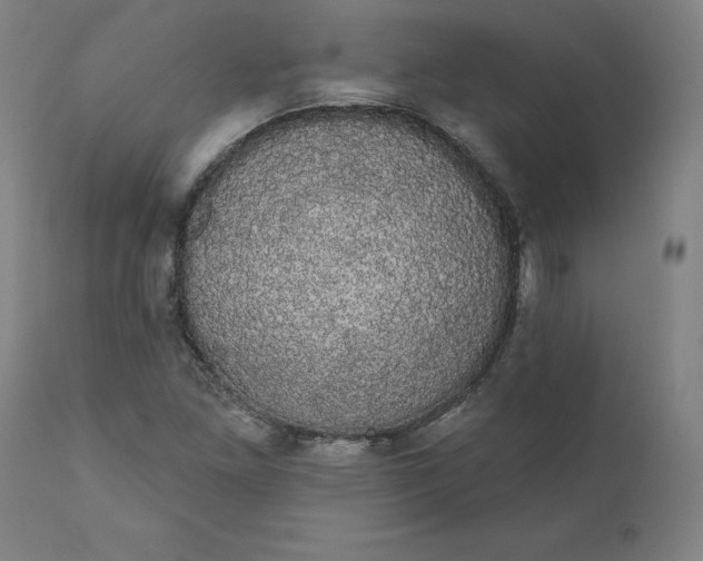 X0000110701261200907021949