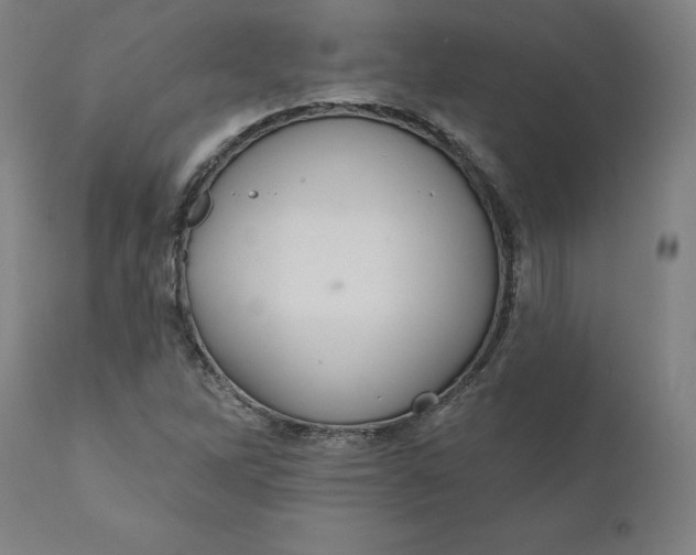 X0000110701262200907021949