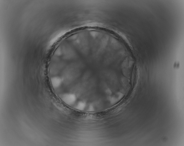 X0000110701263200907021949