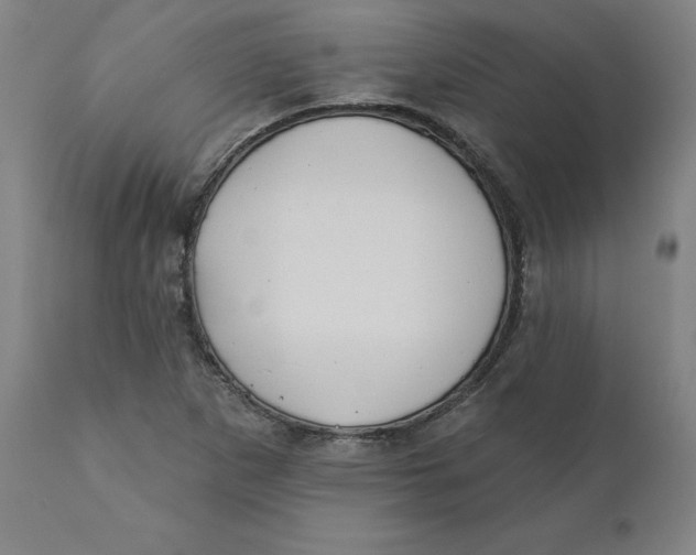 X0000110701265200907021949