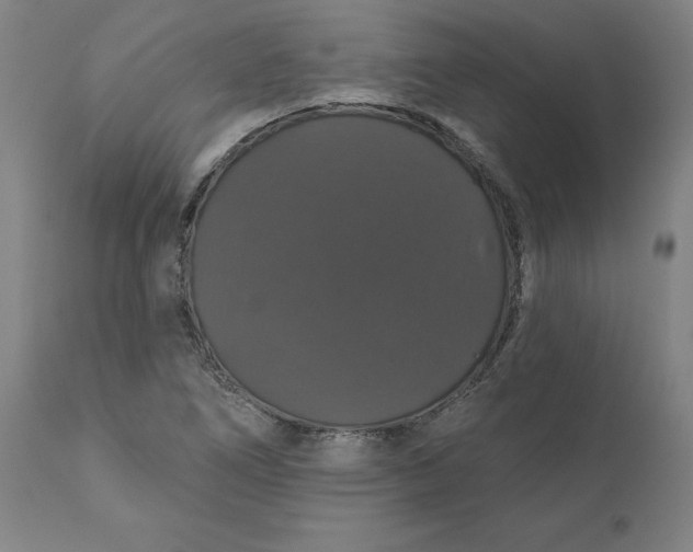 X0000110701266200907021949