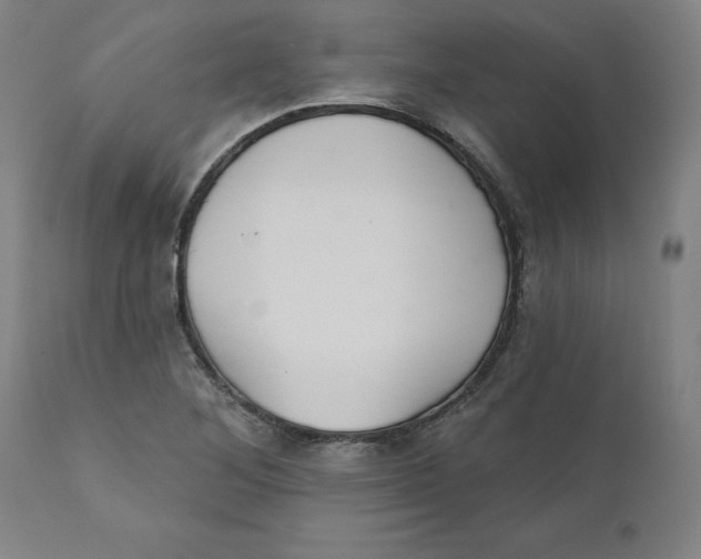 X0000110701268200907021949